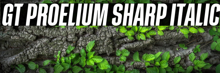 GT Proelium Sharp Italic Example 3