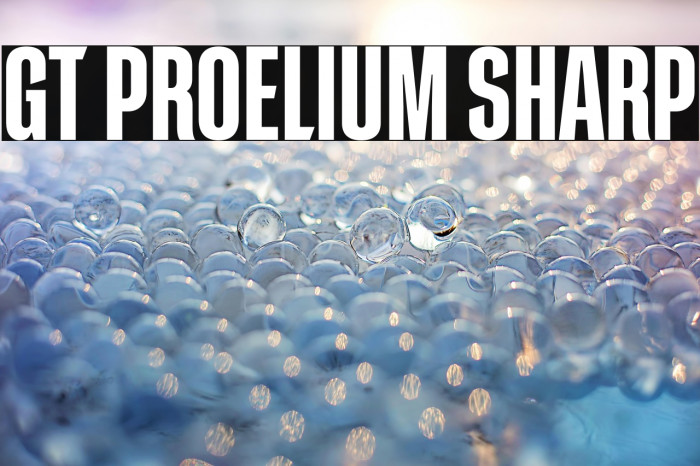 GT Proelium Sharp Example 1