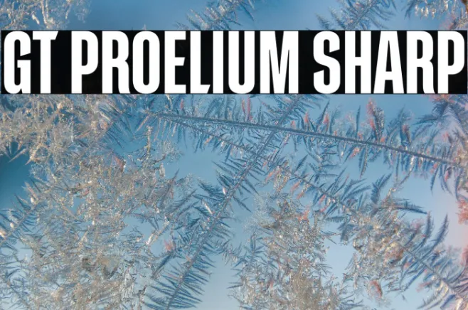 GT Proelium Sharp Example 2