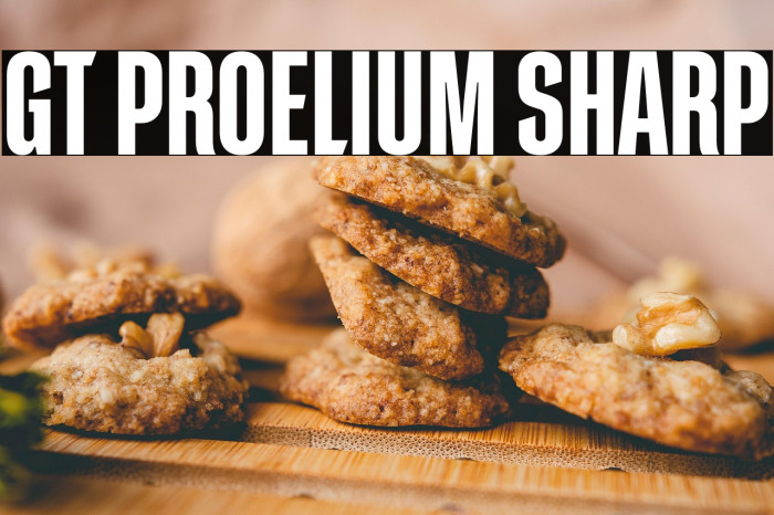 GT Proelium Sharp Example 3