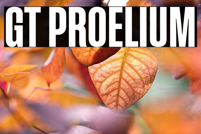 GT Proelium Example 3