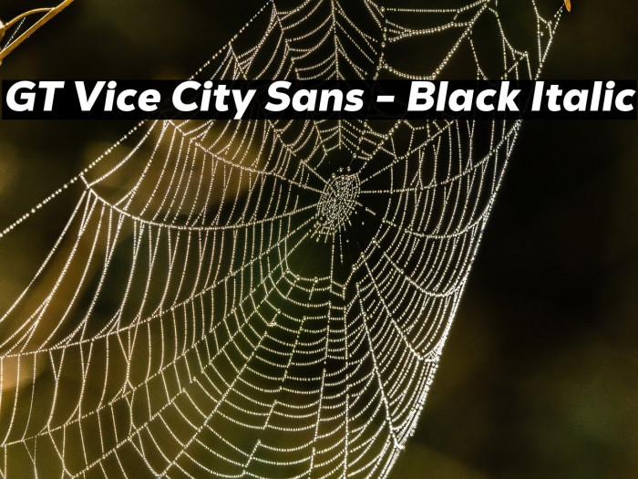 GT Vice City Sans - Black Italic Example 1