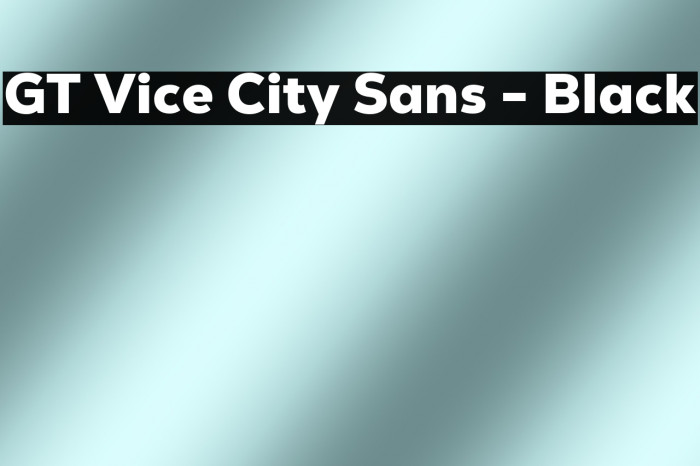 GT Vice City Sans - Black Example 1