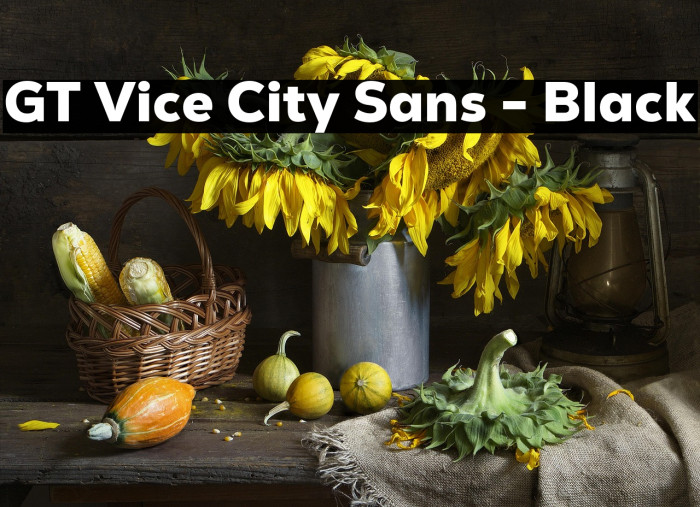 GT Vice City Sans - Black Example 2