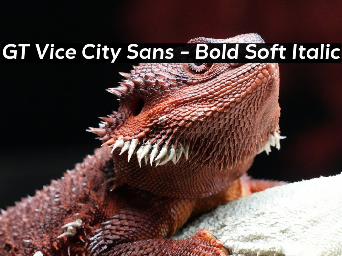 GT Vice City Sans - Bold Soft Italic Example 1