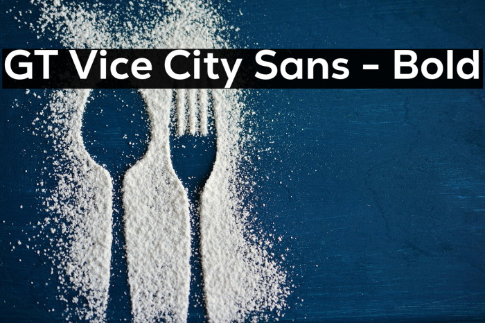 GT Vice City Sans - Bold Example 3