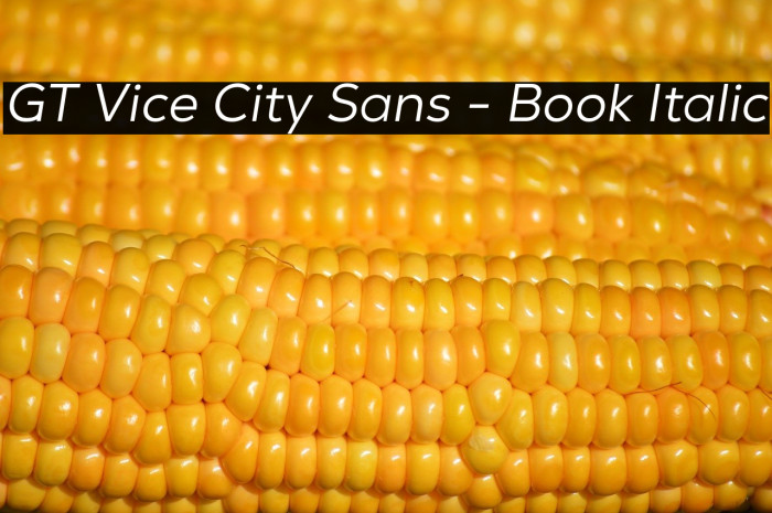 GT Vice City Sans - Book Italic Example 1