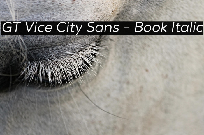 GT Vice City Sans - Book Italic Example 2