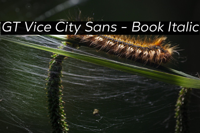 GT Vice City Sans - Book Italic Example 3