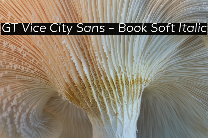 GT Vice City Sans - Book Soft Italic Example 2