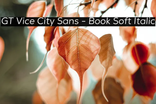 GT Vice City Sans - Book Soft Italic Example 3