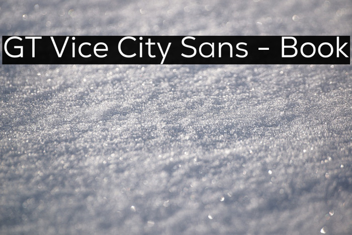 GT Vice City Sans - Book Example 2