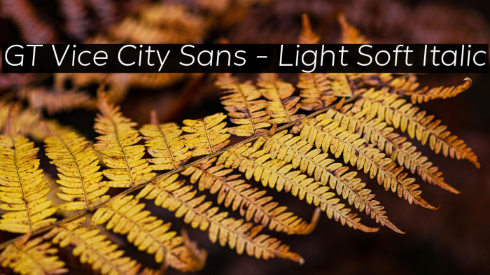 GT Vice City Sans - Light Soft Italic Example 3
