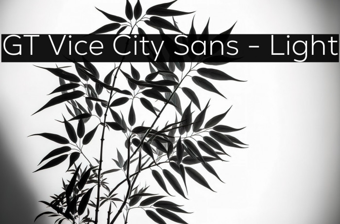 GT Vice City Sans - Light Example 3