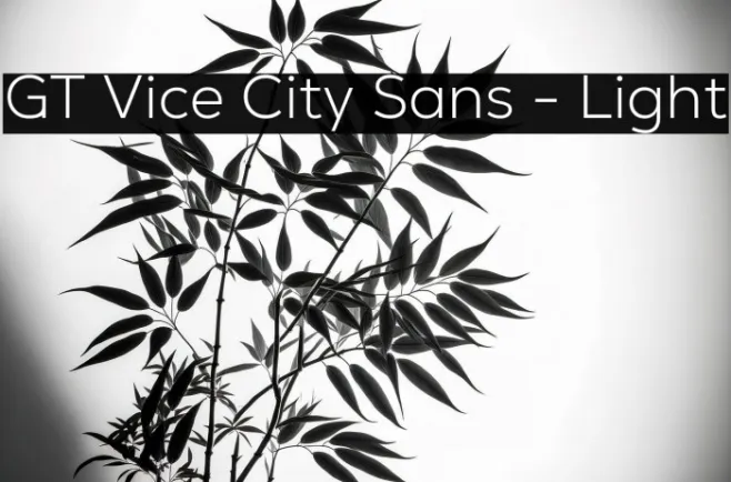 GT Vice City Sans - Light Example 3