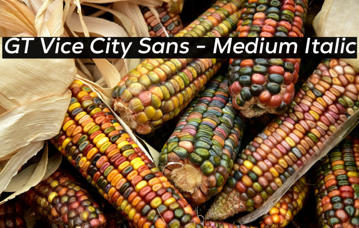 GT Vice City Sans - Medium Italic Example 2