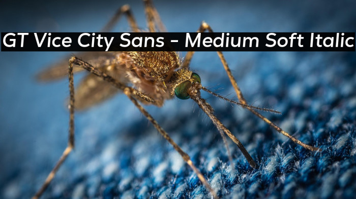 GT Vice City Sans - Medium Soft Italic Example 2