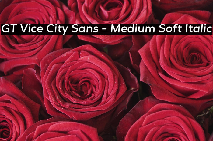 GT Vice City Sans - Medium Soft Italic Example 3
