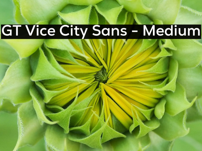 GT Vice City Sans - Medium Example 3