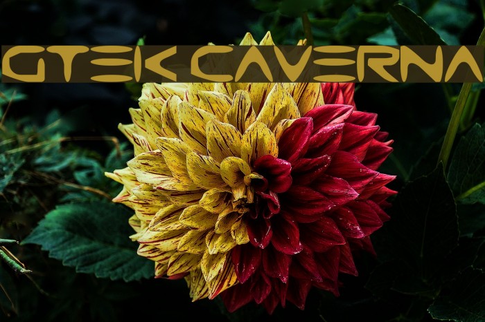 Gtek Caverna Font examples