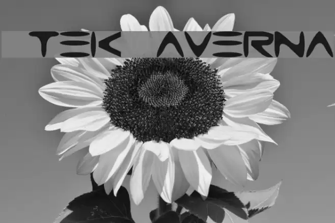 Gtek Caverna Font examples