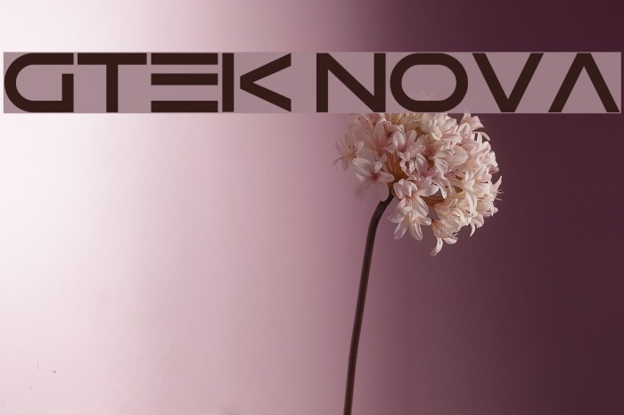 Gtek Nova Fuentes examples