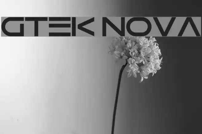Gtek Nova Polices examples