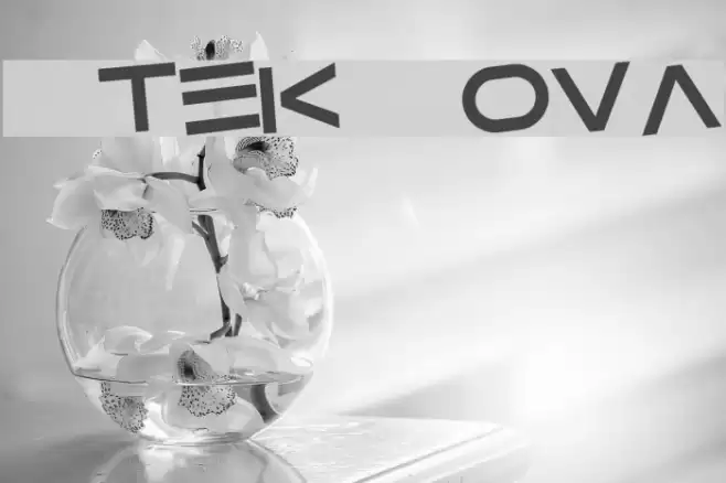 Gtek Nova Polices examples