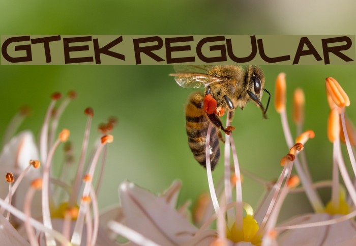 Gtek Regular Font examples