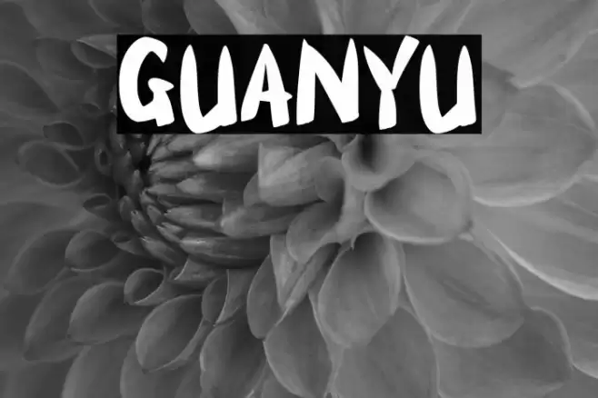 GUANYU Font examples