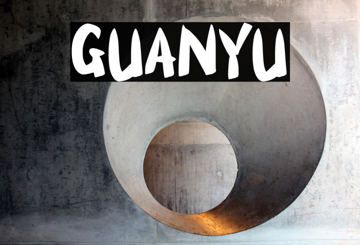 GUANYU Example 3