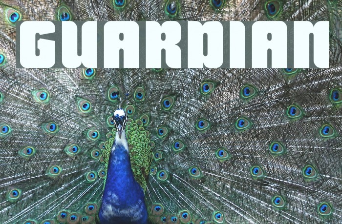 GUARDIAN Font examples