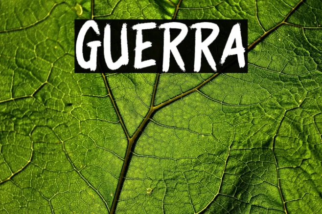 GUERRA Example 3