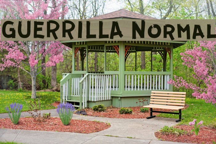 GUERRILLA Normal Font examples