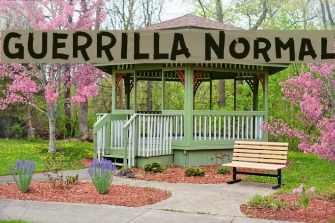 GUERRILLA Normal Example 1