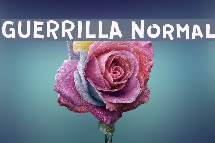 GUERRILLA Normal Font examples