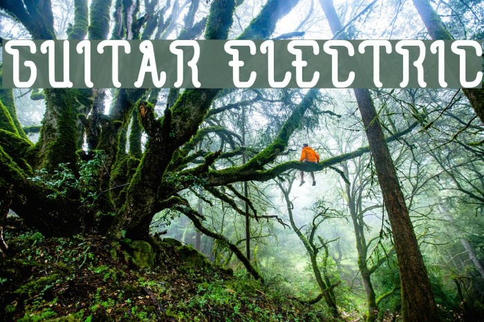 GUITAR ELECTRIC Font examples
