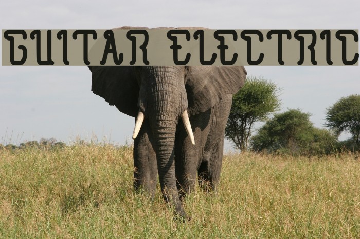 GUITAR ELECTRIC Font examples