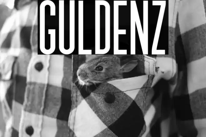 GULDENZ Font examples