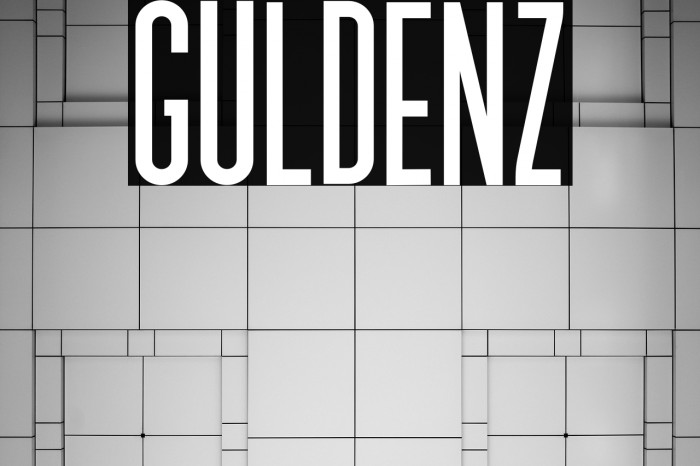 GULDENZ Example 3