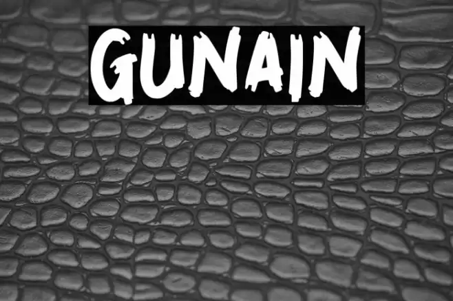 GUNAIN Font examples
