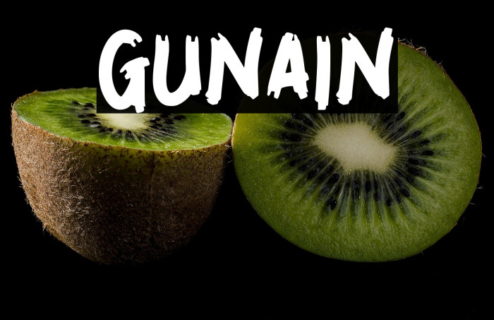 GUNAIN Example 2