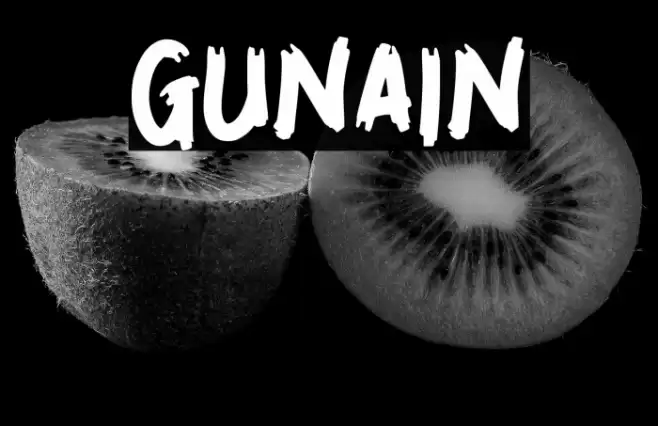 GUNAIN Font examples