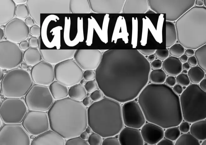 GUNAIN Font examples