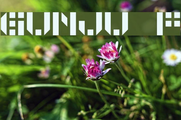 GUNJU Font examples