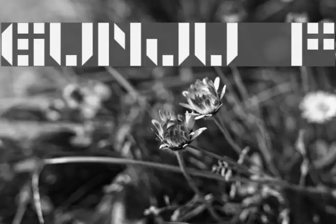 GUNJU フォント examples