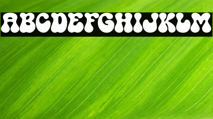 GUNYDROPS DEMO Example 3