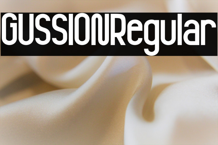 GUSSION Regular Example 1