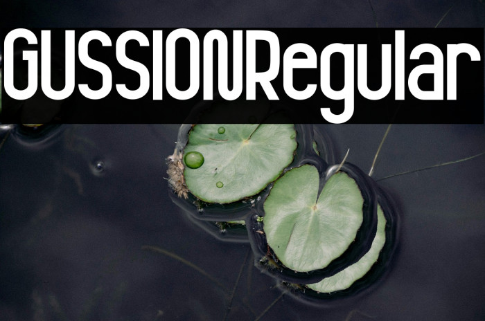 GUSSION Regular Example 2