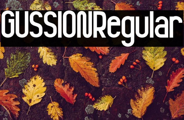 GUSSION Regular Example 3